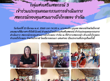 กลุ่มส่งเสริมสหกรณ์ 3 ... พารามิเตอร์รูปภาพ 11